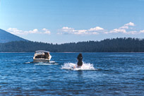 Dad's photos from 1972