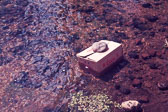 A Photo History