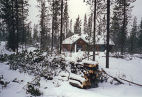 Jim & Linda's photos